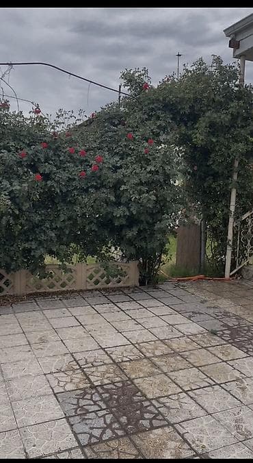 20 çi sahe: Satılır: həyət evi - Geniş, səliqəli həyət: dekorativ kafel döşəməli — 1