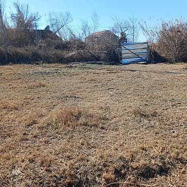 Qarajlar: 30 sot, Tikinti, Mülkiyyətçi, Bələdiyyə — 2