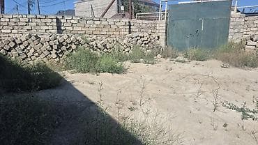 Tikinti — 2