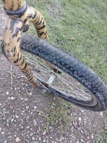 купить детскую коляску бу: Bmx ölçüsü 20 leopar rəngli veziyeti yaxşıdı heç bir problem yoxdur — 2