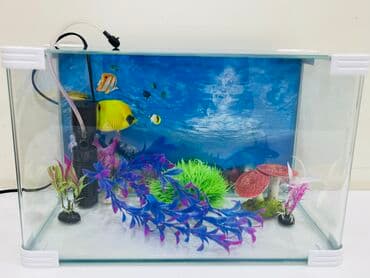 100 l akvarium: Akvarium dekorlari ile Filter ile sekilde olan hersey ile birlikde — 2