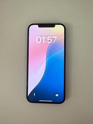 iphone 14 pro islenmis: IPhone 12 Pro Max, 256 GB, Sierra Blue, Barmaq izi, Face ID — 5
