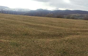 turkanda heyet evleri 2020: Kənd təsərrüfatı — 5