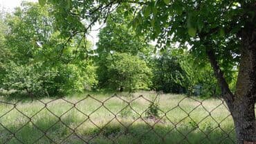 аренда и продажа недвижимости: 10 соток, Для сельского хозяйства, Риэлторам не беспокоить, Купчая — 3