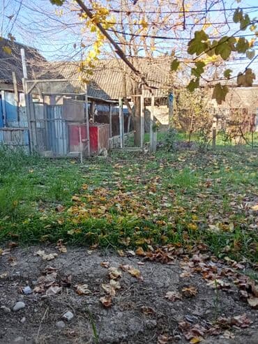 xacmazda ev satisi: Geniş həyət evi – çoxotaqlı - Plan: iri zal, bir neçə yataq otağı — 5