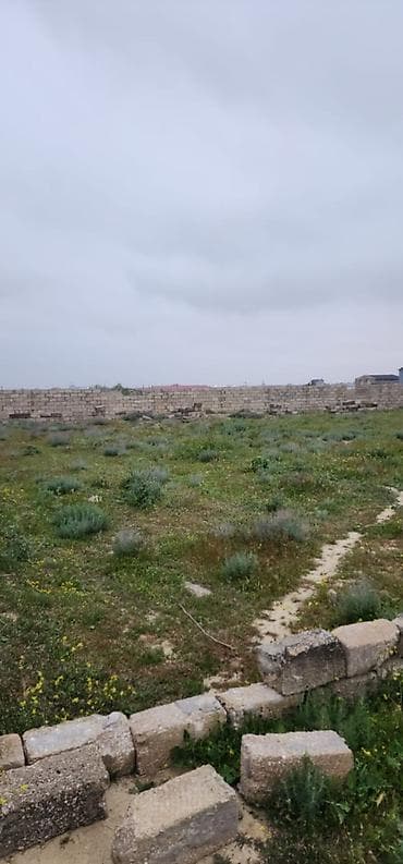 gence tap az: 5 sot, Tikinti, Mülkiyyətçi, Kupça (Çıxarış) — 3