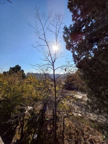 mirvari park ev satılır: Bakı, 4 otaqlı, Köhnə tikili, m. Həzi Aslanov, 85 kv. m — 12