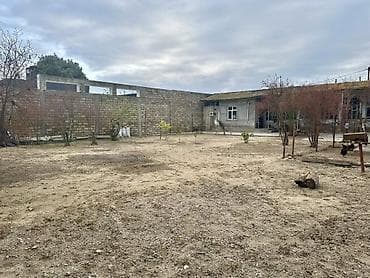 saray mtk ev satilir: Həyət evi və geniş torpaq sahəsi - Böyük həyət: tam daş hasarla — 4