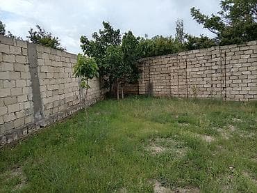 torpaqlarin satisi: 5 sot, Kənd təsərrüfatı, Mülkiyyətçi, Kupça (Çıxarış) — 8