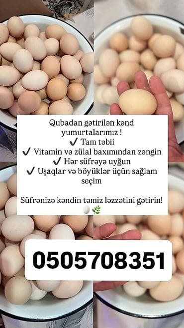Məhsullar: - Qubadan gətirilən kənd yumurtası - Tam təbii - Vitamin — 2
