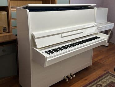 hədəf azərbaycan dili qayda kitabı qiyməti: Piano, Petrof, Akustik, Yeni, Pulsuz çatdırılma — 9