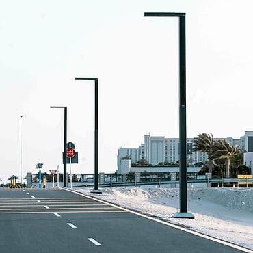 ağ qara profil şəkilləri: Bağ işıqı Yerüstü — 1