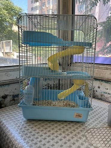 sicovul: Hamster və balaca gəmiricilər üçün qəfəs - Rəng: açıq mavi plastik — 2