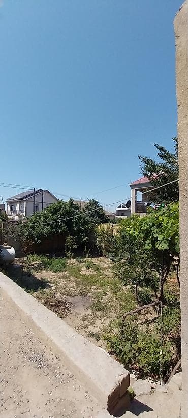 umid qəsəbəsi: Kupça (Çıxarış) — 5