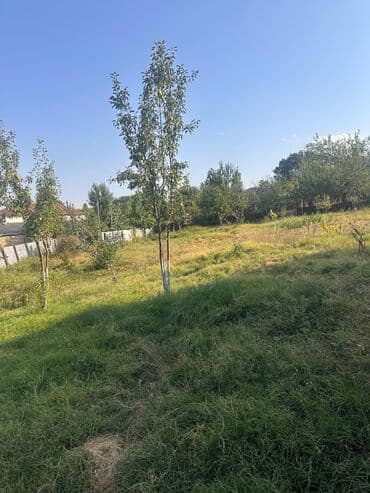 neftçilər ev: 5 sot, Tikinti, Mülkiyyətçi, Kupça (Çıxarış) — 1