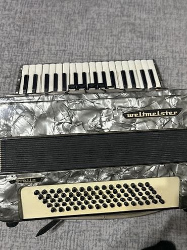 Akustik Akkordeon