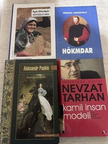 Kitab dəsti - İlyas Əfəndiyev – Söyüdlü Arx (roman) - Nikkolo
