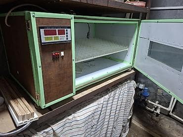 Avtomatik inkubator – rəqəmsal idarəetmə paneli ilə - Model üzərində