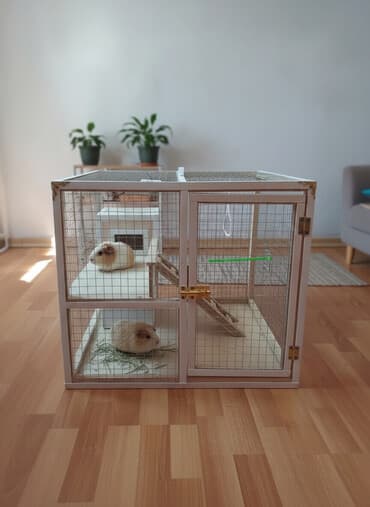 Salam Quş üçün, Cunqarik üçün, Dovşan üçün, Siçan üçün, Xomyak üçün — 3