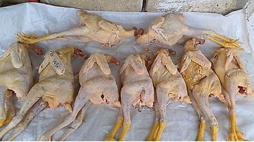 kənd məhsulları: Kənd toyuğu Chicken Bütöv, Pərakəndə — 1