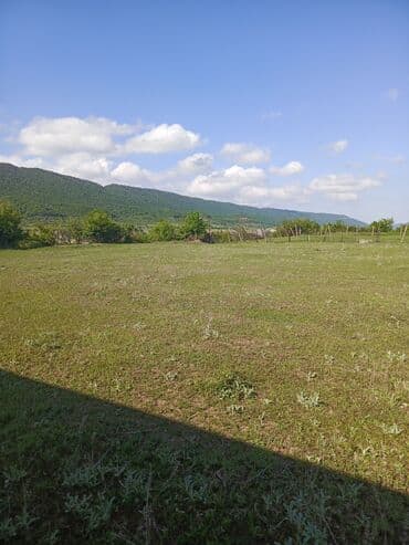 продается земельный участок: 30 sot, Tikinti, Mülkiyyətçi, Kupça (Çıxarış) — 13
