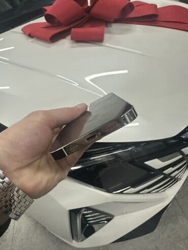 Video oyunlar və konsollar: IPhone 13 Pro, 256 GB, Ağ, Face ID — 5