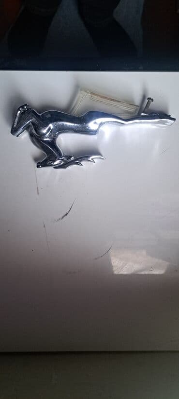 Qadın ayaqqabıları: Orjinal ceyran. ünvandan götürmə — 1