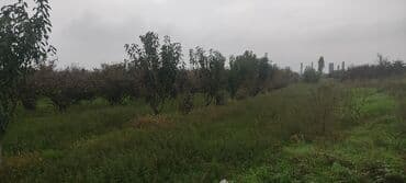 xacmaz torpag: 93 sot, Kənd təsərrüfatı — 5