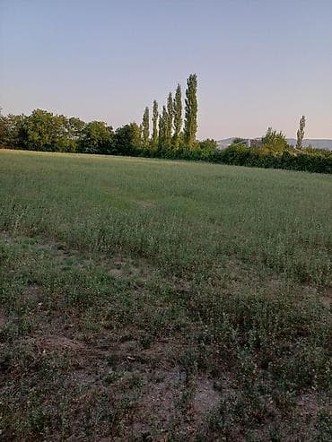 1 sot nece kvadrat metrdir: 80 sot, Biznes üçün, Mülkiyyətçi, Kupça (Çıxarış) — 3