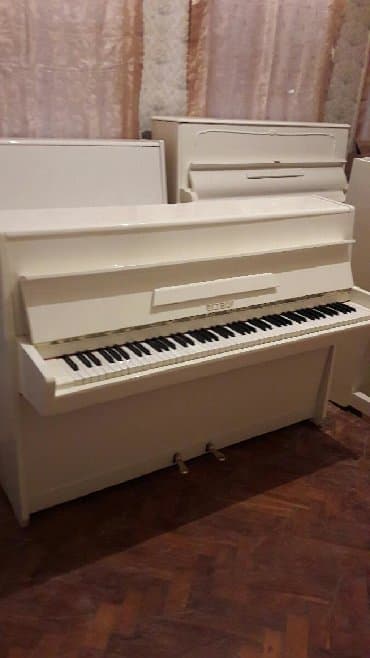 yamaha piano qiymeti: Pianino PETROF Cexya stehsalı. Ideal vəziyyədə. Cadırılma və köklənmə — 1