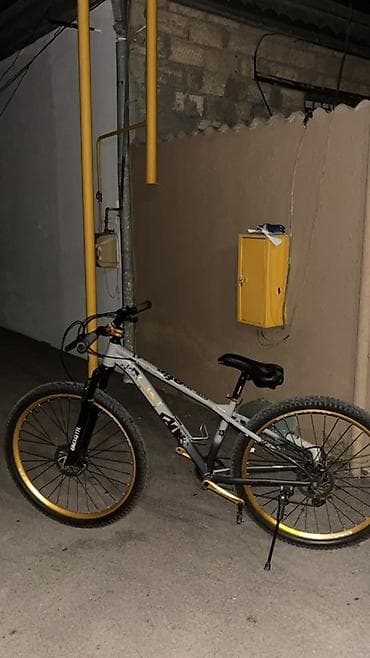 29 luq velosiped: İdial velo axtaran düz ünvandadı Heç bir problemi yoxdur səsli topludu — 2