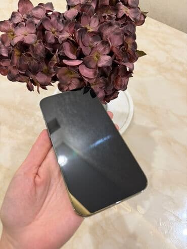 айфон 12 про макс цена в баку: IPhone 13 Pro Max, 128 GB, Yaşıl, Face ID — 2
