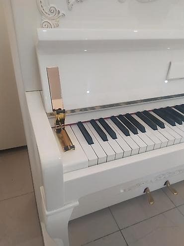 Musiqi alətləri: Piano — 3