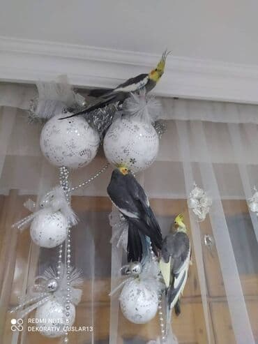 xaski it satisi: Salam danisan quslar satilir. Yaslari ferqlidir. Quslar dislemir — 1