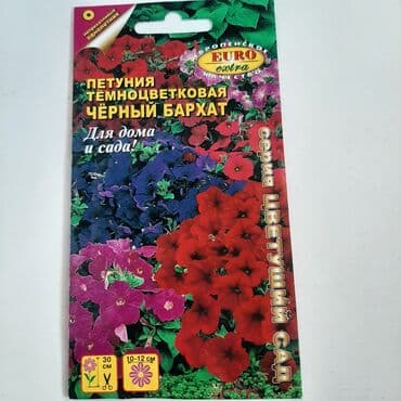 nərgiz gülü satışı: Məhsul: Petunya toxumları – müxtəlif rəng və sort qarışıqları Təsvir — 1