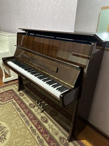 прокат плейстейшен 5: Пианино, Petrof, Акустический — 6