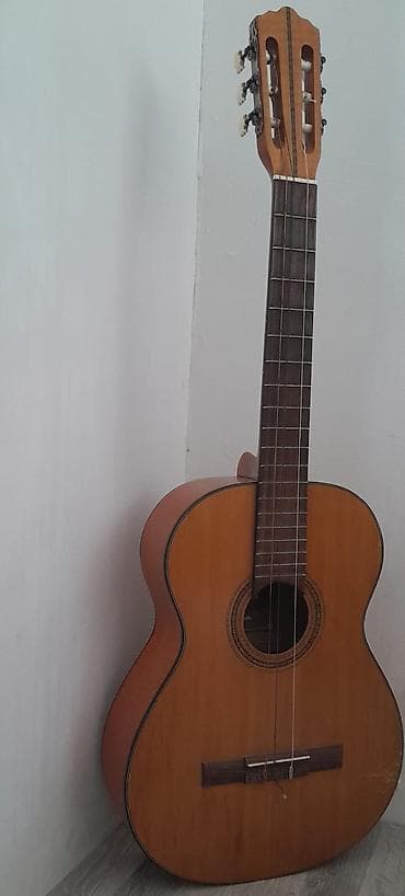 gitara klasik: Musima “Resonata” klassik gitar - Tip: 6 simli klassik/ispan gitar — 1