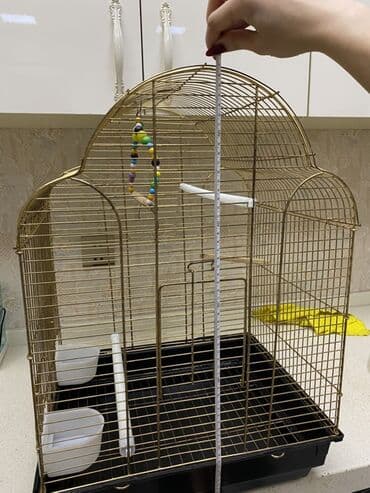 Xaltalar, qayışlar və tasmalar: Quş qəfəsi – klassik qızılı karkas, qara çıxarılan altlıqla Ölçülər — 2