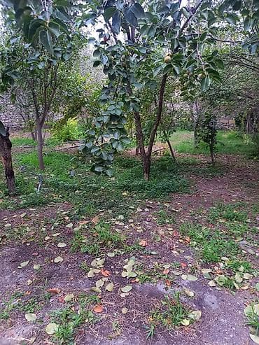 sutkaliq bag evi: Allah her kese xeyir versin seherde avtovagzala yaxin 11sot mehlenin — 4