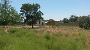 binə qəsəbəsi: 200 sot, Makler, Kupça (Çıxarış) — 20