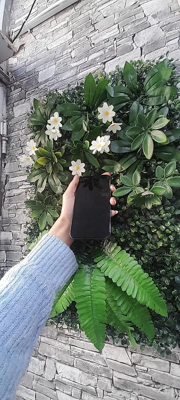 iphone 7 plus satilir: IPhone 12 Pro Max, 256 GB, Göy, Face ID — 6