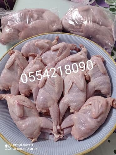 Quş: Xaiş edirəm diqqətli oxuyun Bi̇ldi̇rçi̇n təbii şəraitdə saxlanılan — 4