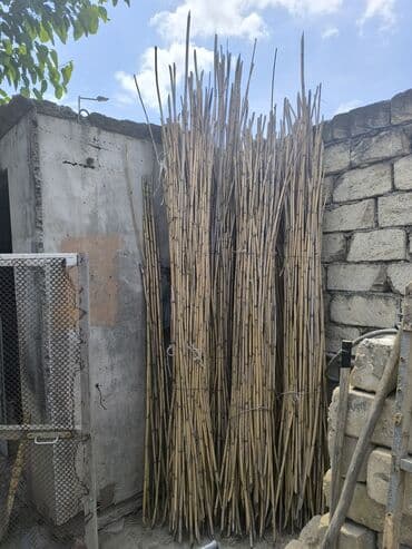 dua gülü: Qarxi 4qom du 15m — 1