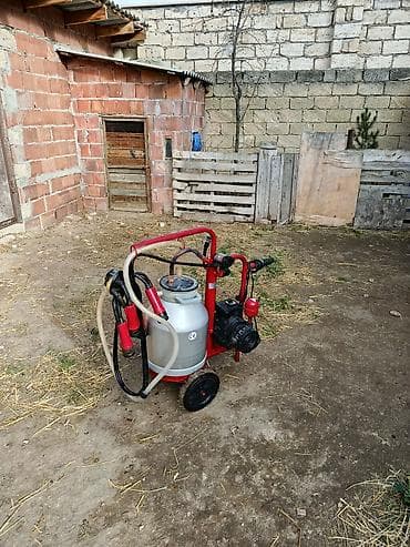 Tək bidon, Paslanmaz bidon