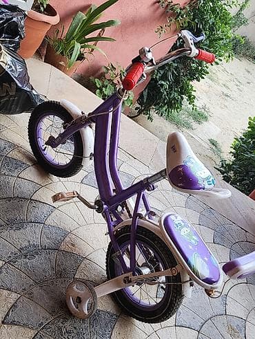 velobet: Velosiped 1 il işlənib, hazırda satılır — 4