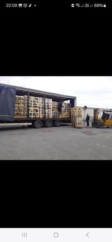 maşın guzguləri: Məhsul: Avtomobil ön şüşəsi (vindsheylid) – müxtəlif modellər üçün — 7