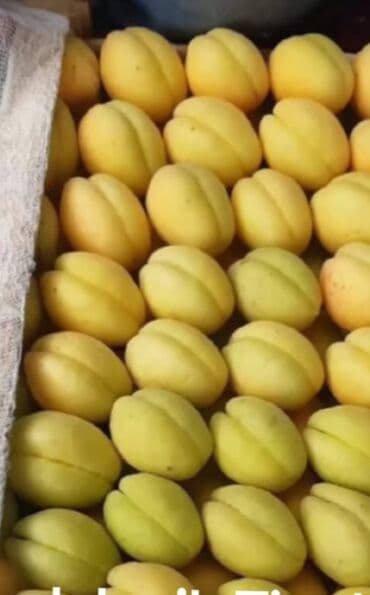 oğlan şəkili: Məhsul: Gül kolları (qızılgül) Təsvir: - Şəkillərdə müxtəlif rəng və — 8