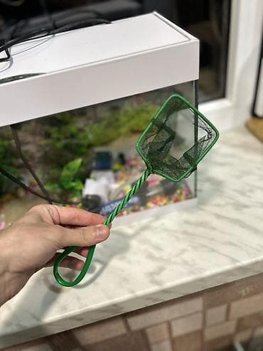 yuxuda qaz cücəsi görmək: Dördbucaq akvarium, Boş, 15 l, Ünvandan götürmə, Ödənişli çatdırılma — 5