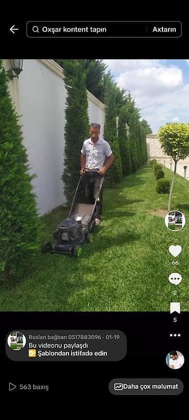 landşaft dizayn: Bağ və landşaft xidməti - Landşaft dizaynı: çiçəkli kompozisiyalar — 7