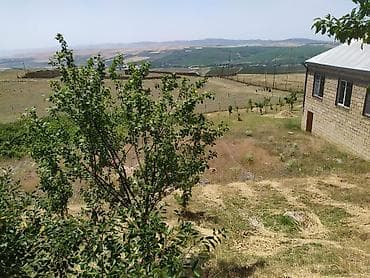 qara torpaq: Şamaxı r. Meysəri kəndi,çox prestijni yerdədir. 10 sotun içində orta — 2